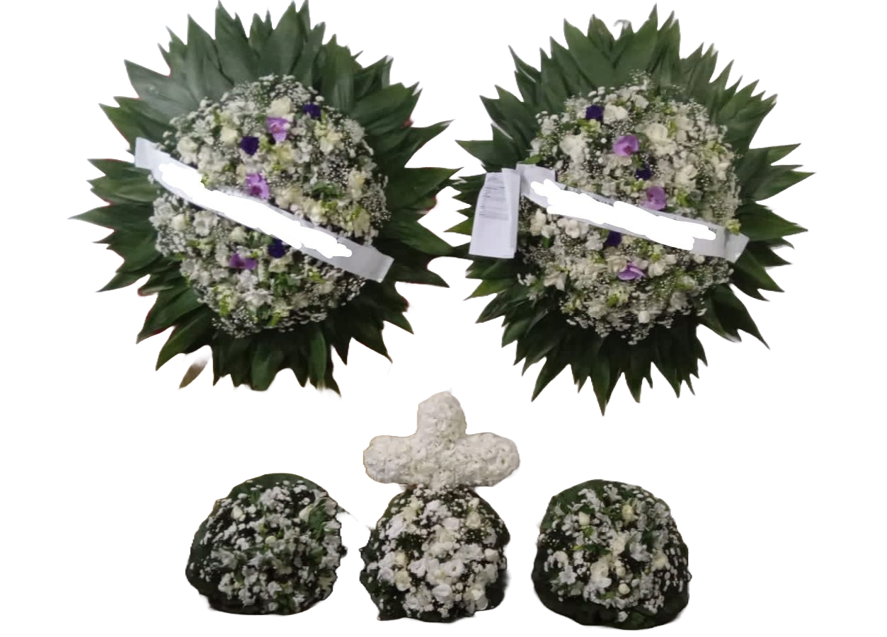 Coroa em Conjunto B02