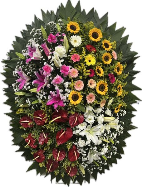 Coroa Especial de grande porte